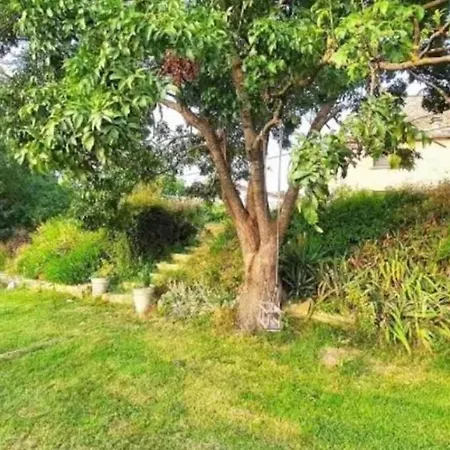 Duplex A La Campagne Et Coin Jardin *